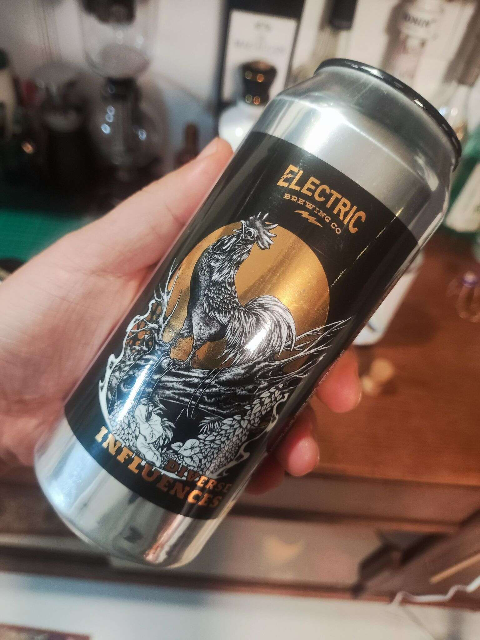 Electric Diverse Influences 20240713 212907